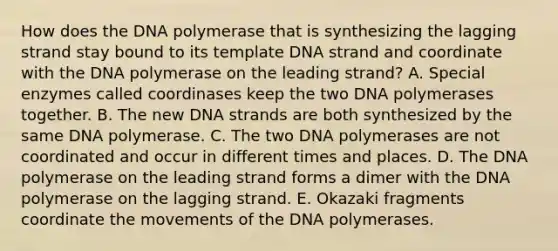 How does the DNA polymerase that is synthesizing the lagging strand stay bound to its template DNA strand and coordinate with the DNA polymerase on the leading strand? A. Special enzymes called coordinases keep the two DNA polymerases together. B. The new DNA strands are both synthesized by the same DNA polymerase. C. The two DNA polymerases are not coordinated and occur in different times and places. D. The DNA polymerase on the leading strand forms a dimer with the DNA polymerase on the lagging strand. E. Okazaki fragments coordinate the movements of the DNA polymerases.