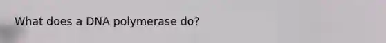 What does a DNA polymerase do?