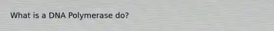 What is a DNA Polymerase do?