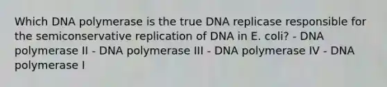 Which DNA polymerase is the true DNA replicase responsible for the semiconservative replication of DNA in E. coli? - DNA polymerase II - DNA polymerase III - DNA polymerase IV - DNA polymerase I