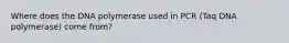 Where does the DNA polymerase used in PCR (Taq DNA polymerase) come from?