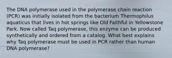 The DNA polymerase used in the polymerase chain reaction (PCR) was initially isolated from the bacterium Thermophilus aquaticus that lives in hot springs like Old Faithful in Yellowstone Park. Now called Taq polymerase, this enzyme can be produced synthetically and ordered from a catalog. What best explains why Taq polymerase must be used in PCR rather than human DNA polymerase?