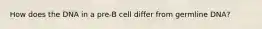 How does the DNA in a pre-B cell differ from germline DNA?