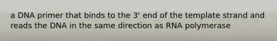 a DNA primer that binds to the 3' end of the template strand and reads the DNA in the same direction as RNA polymerase