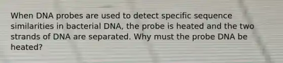 When DNA probes are used to detect specific sequence similarities in bacterial DNA, the probe is heated and the two strands of DNA are separated. Why must the probe DNA be heated?