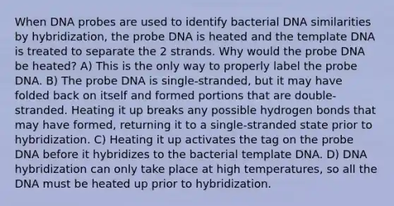 When DNA probes are used to identify bacterial DNA similarities by hybridization, the probe DNA is heated and the template DNA is treated to separate the 2 strands. Why would the probe DNA be heated? A) This is the only way to properly label the probe DNA. B) The probe DNA is single-stranded, but it may have folded back on itself and formed portions that are double-stranded. Heating it up breaks any possible hydrogen bonds that may have formed, returning it to a single-stranded state prior to hybridization. C) Heating it up activates the tag on the probe DNA before it hybridizes to the bacterial template DNA. D) DNA hybridization can only take place at high temperatures, so all the DNA must be heated up prior to hybridization.