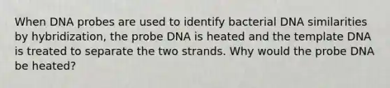 When DNA probes are used to identify bacterial DNA similarities by hybridization, the probe DNA is heated and the template DNA is treated to separate the two strands. Why would the probe DNA be heated?