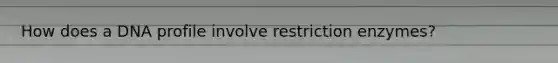 How does a DNA profile involve restriction enzymes?