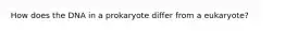 How does the DNA in a prokaryote differ from a eukaryote?