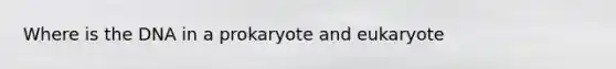 Where is the DNA in a prokaryote and eukaryote