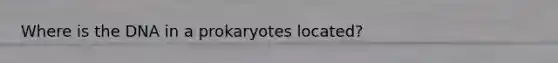 Where is the DNA in a prokaryotes located?