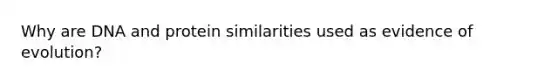 Why are DNA and protein similarities used as evidence of evolution?