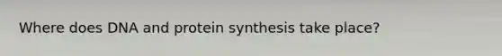 Where does DNA and protein synthesis take place?