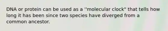 DNA or protein can be used as a ''molecular clock" that tells how long it has been since two species have diverged from a common ancestor.