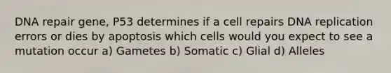 DNA repair gene, P53 determines if a cell repairs DNA replication errors or dies by apoptosis which cells would you expect to see a mutation occur a) Gametes b) Somatic c) Glial d) Alleles