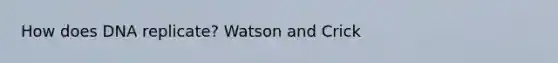 How does DNA replicate? Watson and Crick