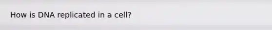 How is DNA replicated in a cell?