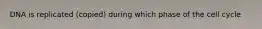 DNA is replicated (copied) during which phase of the cell cycle