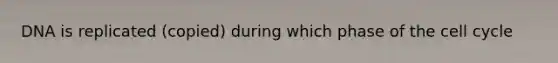 DNA is replicated (copied) during which phase of the cell cycle