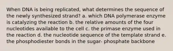 When DNA is being replicated, what determines the sequence of the newly synthesized strand? a. which DNA polymerase enzyme is catalyzing the reaction b. the relative amounts of the four nucleotides available to the cell c. the primase enzyme used in the reaction d. the nucleotide sequence of the template strand e. the phosphodiester bonds in the sugar- phosphate backbone