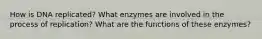 How is DNA replicated? What enzymes are involved in the process of replication? What are the functions of these enzymes?