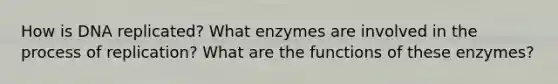 How is DNA replicated? What enzymes are involved in the process of replication? What are the functions of these enzymes?