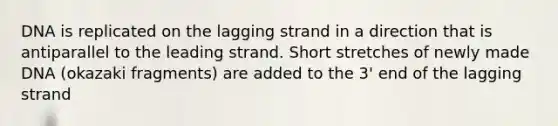 DNA is replicated on the lagging strand in a direction that is antiparallel to the leading strand. Short stretches of newly made DNA (okazaki fragments) are added to the 3' end of the lagging strand