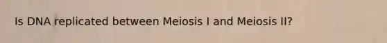 Is DNA replicated between Meiosis I and Meiosis II?