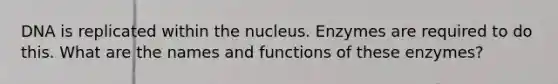 DNA is replicated within the nucleus. Enzymes are required to do this. What are the names and functions of these enzymes?