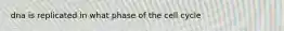 dna is replicated in what phase of the cell cycle