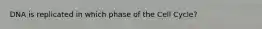 DNA is replicated in which phase of the Cell Cycle?