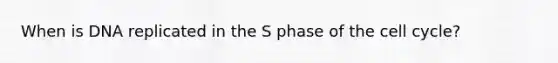 When is DNA replicated in the S phase of the cell cycle?