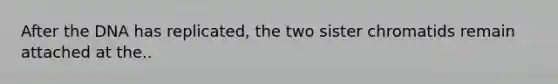 After the DNA has replicated, the two sister chromatids remain attached at the..