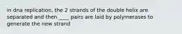 in dna replication, the 2 strands of the double helix are separated and then ____ pairs are laid by polymerases to generate the new strand