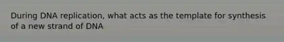 During DNA replication, what acts as the template for synthesis of a new strand of DNA