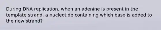 During DNA replication, when an adenine is present in the template strand, a nucleotide containing which base is added to the new strand?