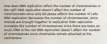 how does DNA replication affect the number of chromosomes in the cell? DNA replication doesn't affect the number of chromosomes since only G0 phase affects the number of cells DNA replication decreases the number of chromosomes, since strands are brought together in replication DNA replication increases the number of chromosomes since there are twice as much DNA in the cell DNA replication doesn't affect the number of chromosomes since chromatids remain attached at the centromere