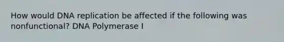 How would <a href='https://www.questionai.com/knowledge/kofV2VQU2J-dna-replication' class='anchor-knowledge'>dna replication</a> be affected if the following was nonfunctional? DNA Polymerase I