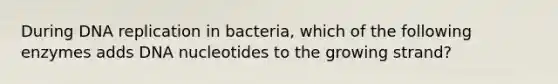 During DNA replication in bacteria, which of the following enzymes adds DNA nucleotides to the growing strand?