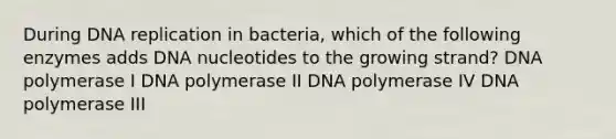 During DNA replication in bacteria, which of the following enzymes adds DNA nucleotides to the growing strand? DNA polymerase I DNA polymerase II DNA polymerase IV DNA polymerase III