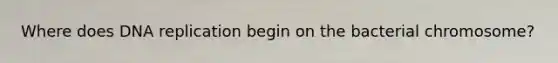 Where does DNA replication begin on the bacterial chromosome?