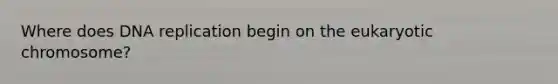 Where does DNA replication begin on the eukaryotic chromosome?