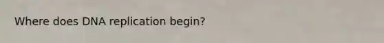 Where does DNA replication begin?