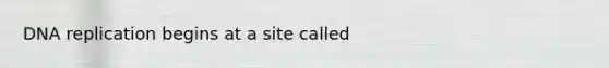 DNA replication begins at a site called