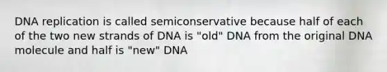 DNA replication is called semiconservative because half of each of the two new strands of DNA is "old" DNA from the original DNA molecule and half is "new" DNA