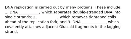 DNA replication is carried out by many proteins. These include: 1. DNA ___________, which separates double-stranded DNA into single strands; 2. __________ , which removes tightened coils ahead of the replication fork; and 3. DNA _____________, which covalently attaches adjacent Okazaki fragments in the lagging strand.