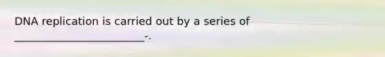 DNA replication is carried out by a series of ________________________-.