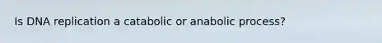 Is DNA replication a catabolic or anabolic process?