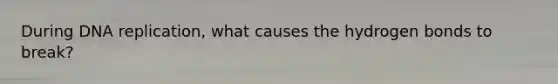 During DNA replication, what causes the hydrogen bonds to break?