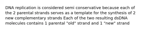 DNA replication is considered semi conservative because each of the 2 parental strands serves as a template for the synthesis of 2 new complementary strands Each of the two resulting dsDNA molecules contains 1 parental "old" strand and 1 "new" strand